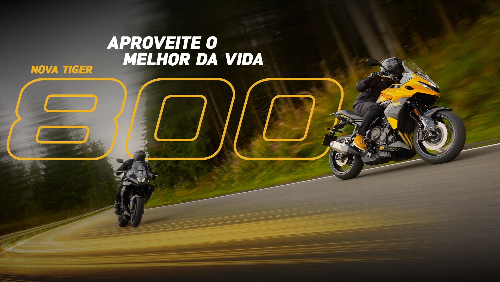 Aproveite o melhor da vida com a nova Triumph Tiger 800.